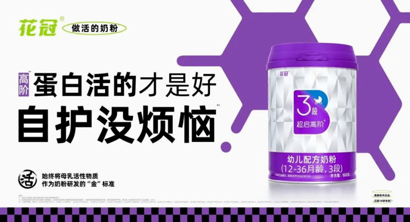 圖片13