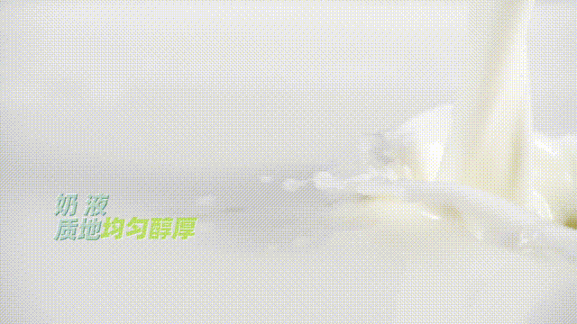 圖片5