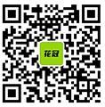 微信